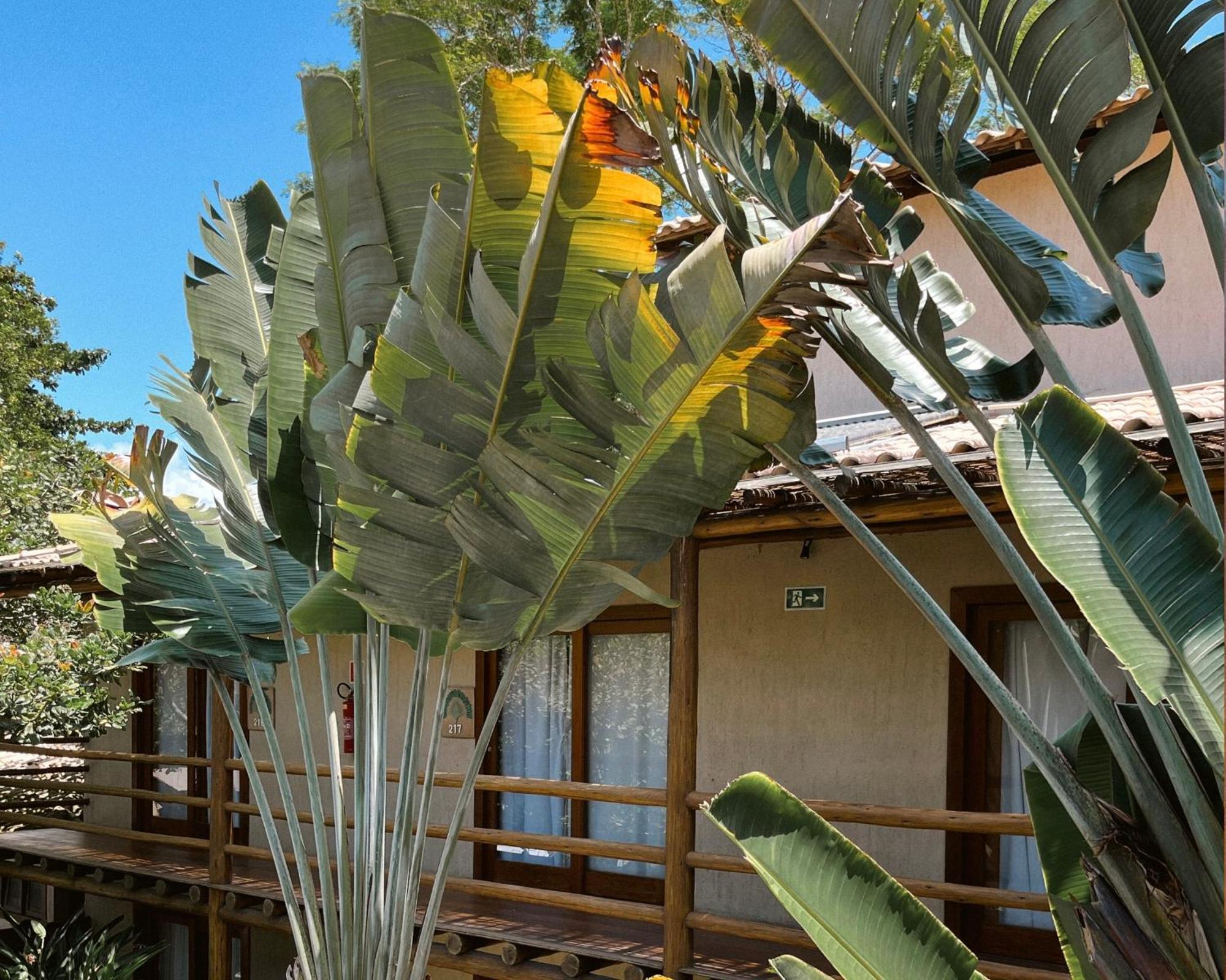 Hotel Ravenala 3*